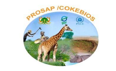 il s'agit du logo du projet PROSAP
