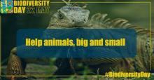 Célébrer la journée internationale de la Biodiversité partout où vous êtes