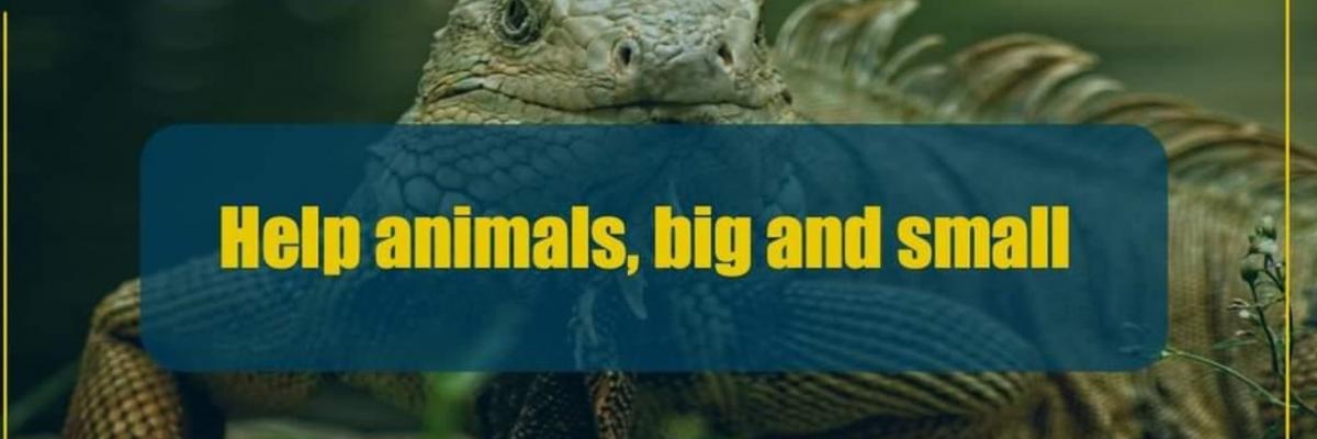 Célébrer la journée internationale de la Biodiversité